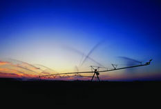 ������������� �������