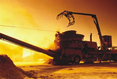 ������������ ��������