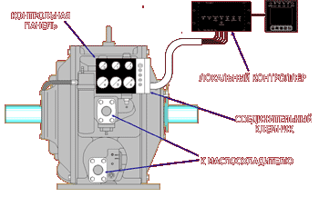 ���������� UCD